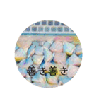 石垣すたんぷ（個別スタンプ：29）