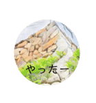 石垣すたんぷ（個別スタンプ：30）