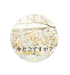 石垣すたんぷ（個別スタンプ：36）