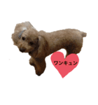 わんにゃんギャル語（個別スタンプ：4）