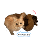 わんにゃんギャル語（個別スタンプ：7）