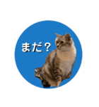 うちの子たちの自分得のスタンプ（個別スタンプ：15）