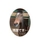 MKホースパーク公式（個別スタンプ：20）