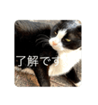 ラビくんのスタンプ（個別スタンプ：2）