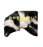 ラビくんのスタンプ（個別スタンプ：3）