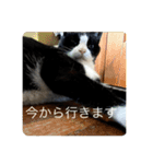 ラビくんのスタンプ（個別スタンプ：7）