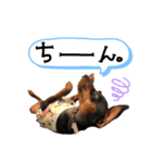 まるまるてんてん（個別スタンプ：4）