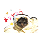 夫婦間やお友達との間で使いやすいスタンプ（個別スタンプ：1）