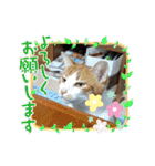 夫婦間やお友達との間で使いやすいスタンプ（個別スタンプ：4）