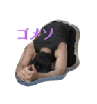 夫婦間やお友達との間で使いやすいスタンプ（個別スタンプ：7）