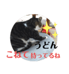 夫婦間やお友達との間で使いやすいスタンプ（個別スタンプ：26）