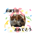 夫婦間やお友達との間で使いやすいスタンプ（個別スタンプ：32）