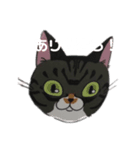 さん匹の猫（個別スタンプ：6）