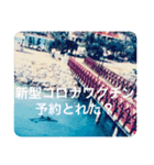 OKINAWAの景色とお花に癒されて③（個別スタンプ：3）