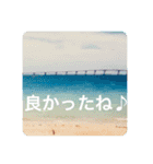 OKINAWAの景色とお花に癒されて③（個別スタンプ：5）