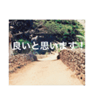 OKINAWAの景色とお花に癒されて③（個別スタンプ：8）