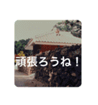OKINAWAの景色とお花に癒されて③（個別スタンプ：9）
