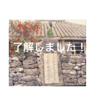 OKINAWAの景色とお花に癒されて③（個別スタンプ：11）