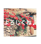 OKINAWAの景色とお花に癒されて③（個別スタンプ：13）