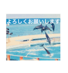 OKINAWAの景色とお花に癒されて③（個別スタンプ：14）