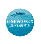 OKINAWAの景色とお花に癒されて③（個別スタンプ：17）