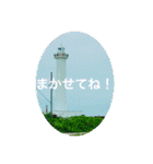 OKINAWAの景色とお花に癒されて③（個別スタンプ：19）