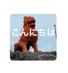 OKINAWAの景色とお花に癒されて③（個別スタンプ：20）
