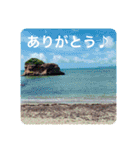 OKINAWAの景色とお花に癒されて③（個別スタンプ：22）