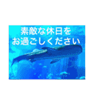 OKINAWAの景色とお花に癒されて③（個別スタンプ：24）