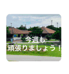 OKINAWAの景色とお花に癒されて③（個別スタンプ：26）