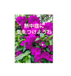 OKINAWAの景色とお花に癒されて③（個別スタンプ：30）