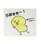 ヒヨコノ市ヒヨコノ区ヒヨコノ町（個別スタンプ：4）