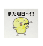 ヒヨコノ市ヒヨコノ区ヒヨコノ町（個別スタンプ：5）