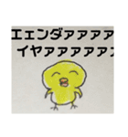 ヒヨコノ市ヒヨコノ区ヒヨコノ町（個別スタンプ：12）