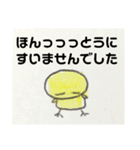 ヒヨコノ市ヒヨコノ区ヒヨコノ町（個別スタンプ：16）