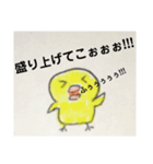 ヒヨコノ市ヒヨコノ区ヒヨコノ町（個別スタンプ：17）