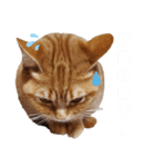 ネコねこスタンプ2（個別スタンプ：3）