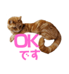 ネコねこスタンプ2（個別スタンプ：6）