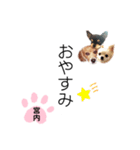 チャッピーチョコラッキー（宮内編）（個別スタンプ：6）