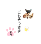 チャッピーチョコラッキー（宮内編）（個別スタンプ：7）