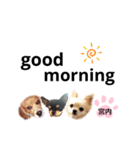 チャッピーチョコラッキー（宮内編）（個別スタンプ：9）