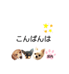 チャッピーチョコラッキー（宮内編）（個別スタンプ：14）