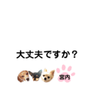 チャッピーチョコラッキー（宮内編）（個別スタンプ：17）