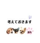 チャッピーチョコラッキー（宮内編）（個別スタンプ：18）