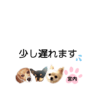 チャッピーチョコラッキー（宮内編）（個別スタンプ：19）