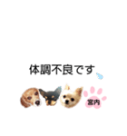 チャッピーチョコラッキー（宮内編）（個別スタンプ：20）