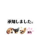 チャッピーチョコラッキー（宮内編）（個別スタンプ：23）