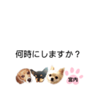 チャッピーチョコラッキー（宮内編）（個別スタンプ：24）