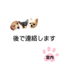 チャッピーチョコラッキー（宮内編）（個別スタンプ：31）