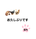 チャッピーチョコラッキー（宮内編）（個別スタンプ：33）